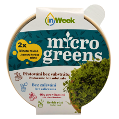 Japonská horčica zelená - semienka microgreens - pestovanie bez zalievania inWeek