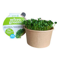 3x Ředkev sada - microgreens semínka inWeek