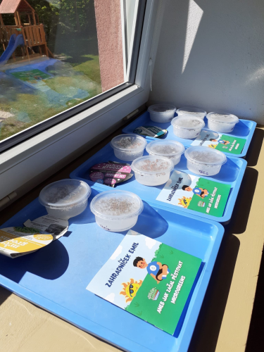 Pěstování microgreens ve školách a školkách